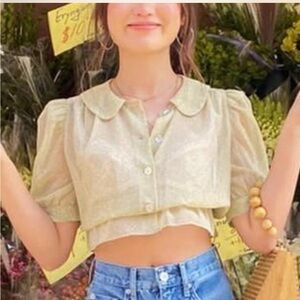 Aritzia casanova sheer blouse